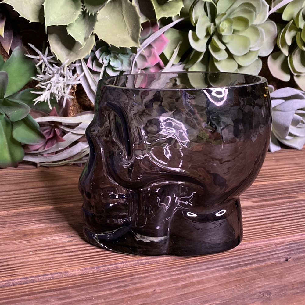 Pottery Barn Blown Soda Lime Glass Ombré Effect Large Skull Ice Bucket 💀 - Picture 5 of 16